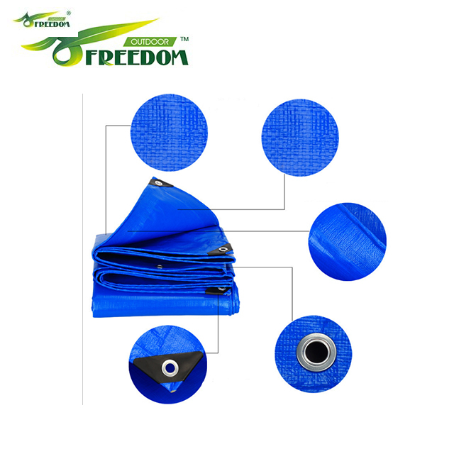 Blue Tarpaulin