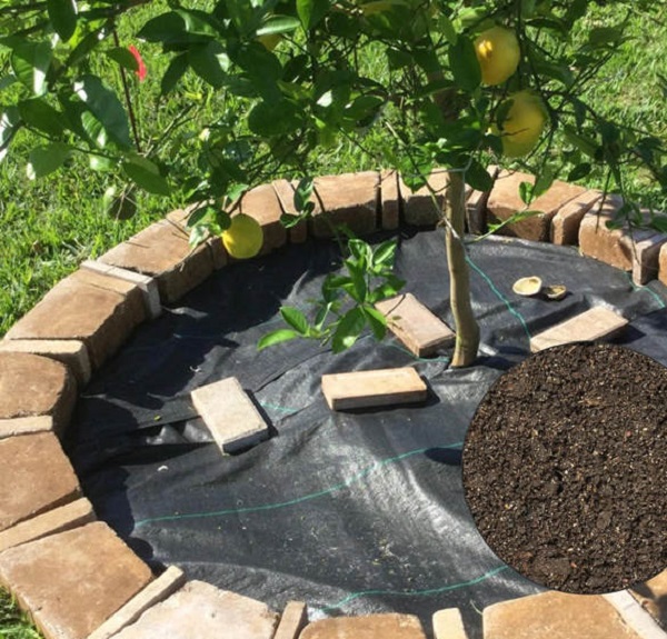 PP-ground-cover-for-tree-ring