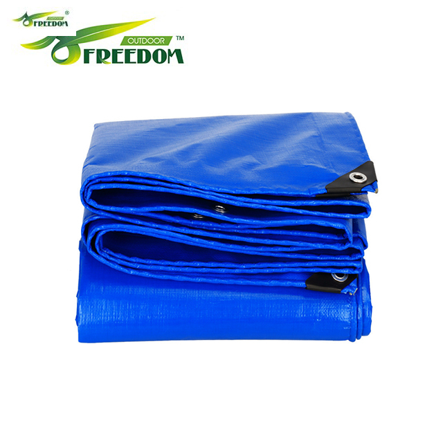 Blue Tarpaulin