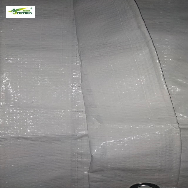 pe white tarpaulin