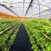 Weed Control Fabric