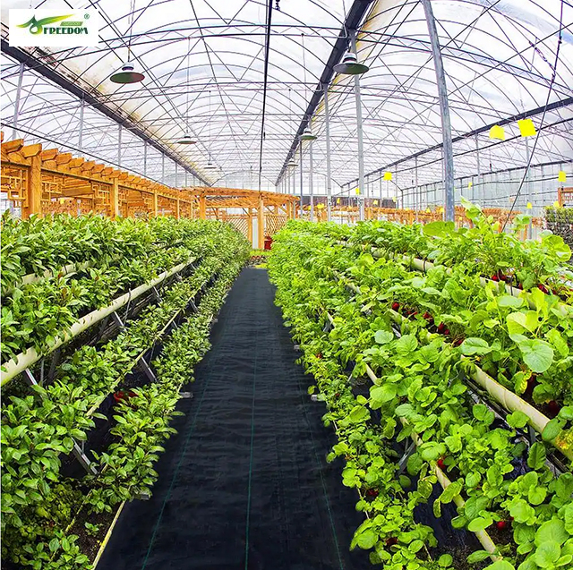 Weed Control Fabric