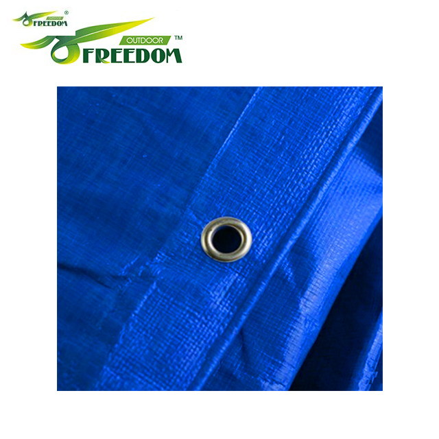 Blue Tarpaulin