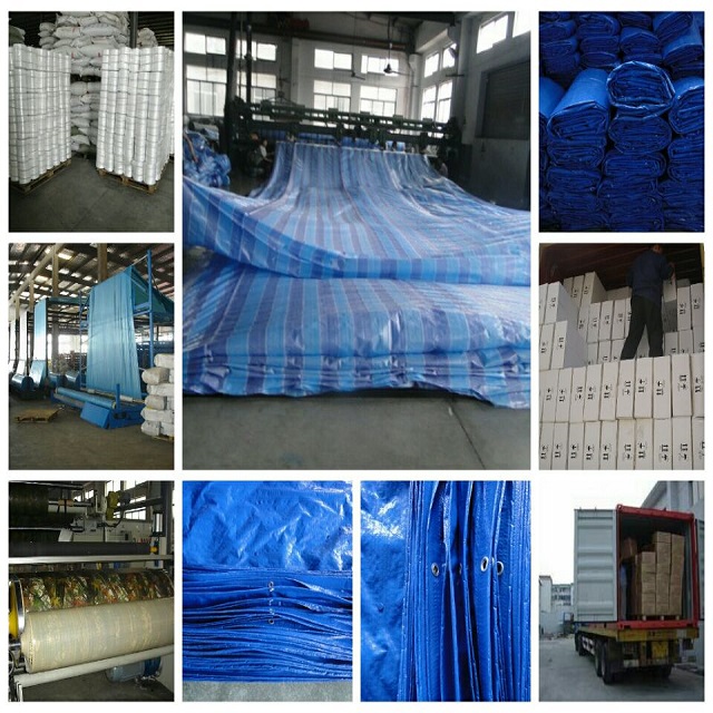 product line