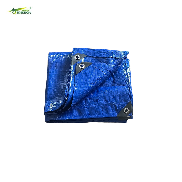 Blue Tarpaulin