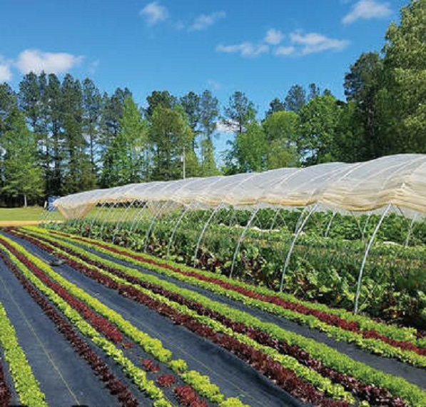 PP-ground-cover-for-greenhouse